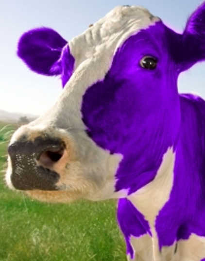 Purple cow - Marketing